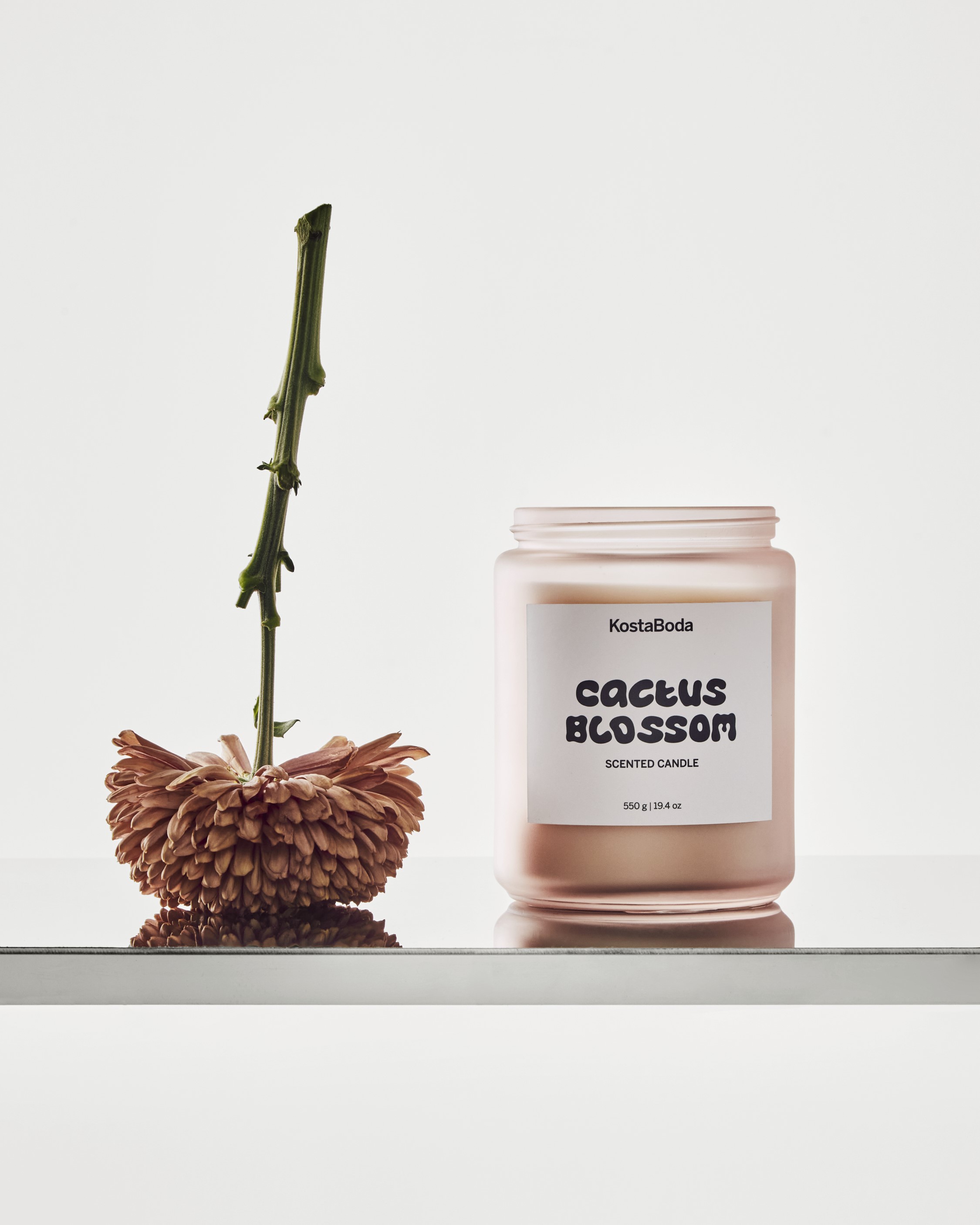 Mind scented candle 550gr Cactus Blossom