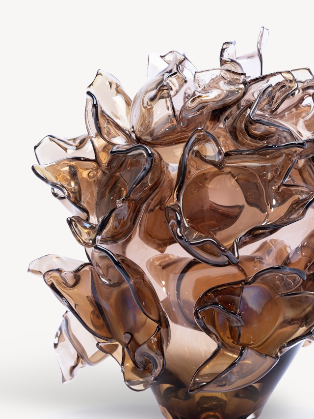 Anemone bärnsten EA 5 Anemone bärnsten EA 5