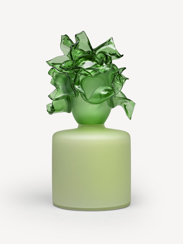 Anemon grön EA 5 Anemon grön EA 5