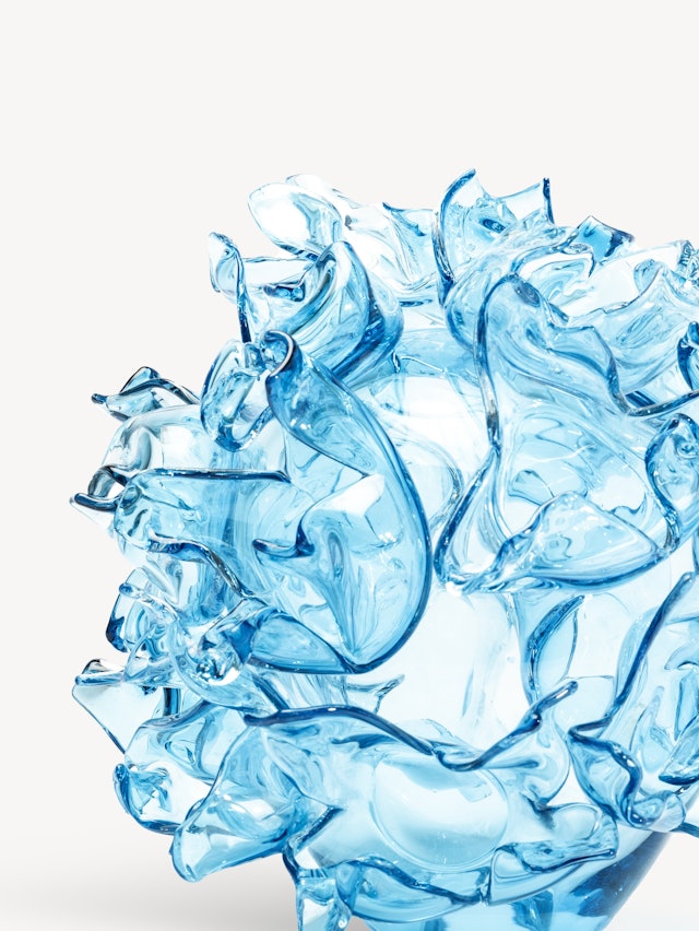 Anemone turkos EA 5 Anemone turkos EA 5