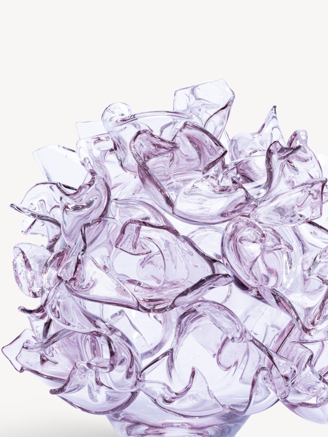 Anemone pink EA 5 Anemone pink EA 5