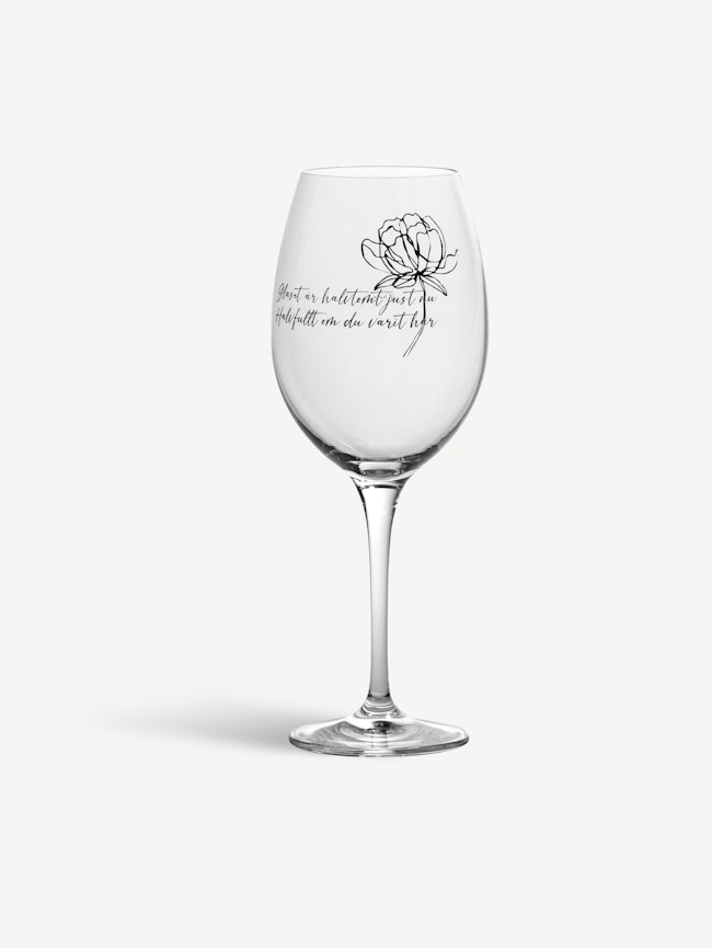 Don't stop the music wine glass 48cl 6-pack